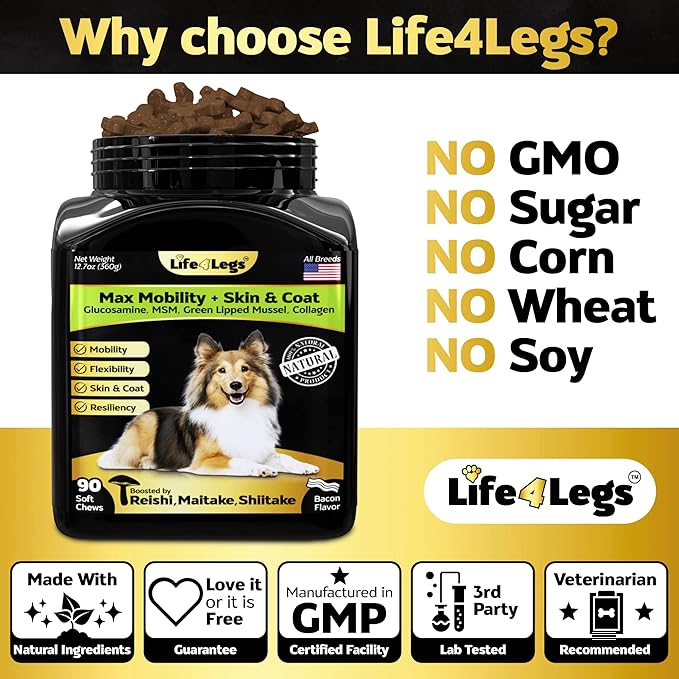 Hip and Joint Chews for Dogs + Skin and Coat Supplement - Dog Joint Pain Relief Treats - Glucosamine, Chondroitin, MSM, Hemp Oil, Turmeric, Omega 3 for Dogs, Mobility Dog Health Supplies