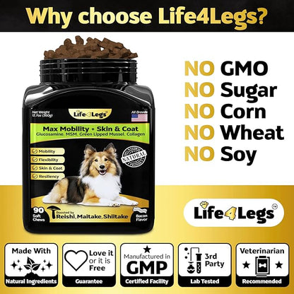 Hip and Joint Chews for Dogs Plus Skin and Coat Supplement - Dog Joint Pain Relief Treats - Glucosamine, Chondroitin, MSM, Hemp Oil, Turmeric, Omega 3 for Dogs, Mobility Bites Dog Health