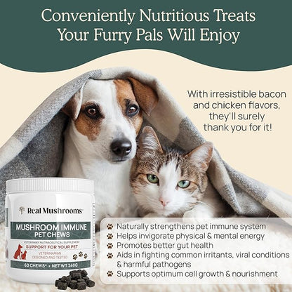Mushroom Immune Support Pet Chews (60ct) treats for dogs – Immune booster supplements for pets with Ashwagandha, Astragalus, Blueberry, Olive Leaf, Acerola &Gut Health for Dogs and Cats