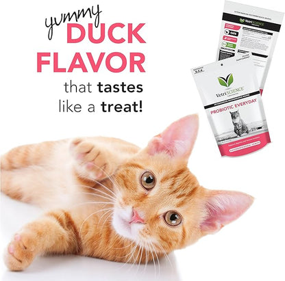 VetriScience Probiotic Everyday for Cats, Digestive Support Supplement, Duck Flavor, 60 Bite Sized Chews - Probiotics and Prebiotics, GI and Immune Support