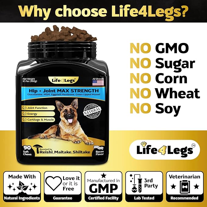 Soft Chews Hip and Joint Supplement for Dogs - Dog Joint Pain Relief Treats - Glucosamine, Chondroitin, Turmeric- Mobility Bites Supplement