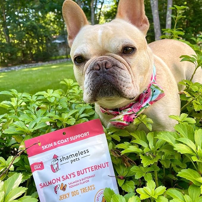 Shameless Pets Dog Jerky Treats - Salmon Jerky for Dogs Made with Upcycled Ingredients & Zero Artificial Flavors, Supports Healthy Skin & Coat - Salmon Says Butternut, Pack of 2