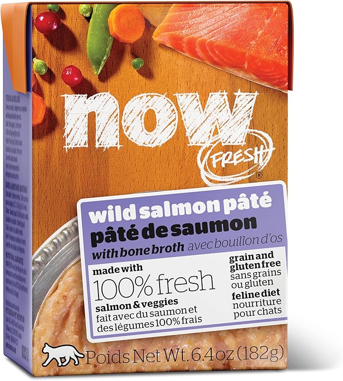 Now Fresh Grain Free Wet Cat Food, 6.4 oz - Wild Salmon Pâté with Bone Broth for Cats - Real Fish for Protein