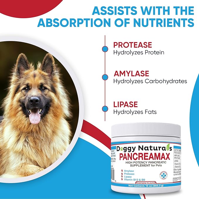 PancreaMax 10x Pancreatic Digestive Enzymes Supplement for Cats and Dogs(12 oz) Powder (Made in U.S.A).10x Pancreatin for Dogs Contain Pancreatic Enzyme | Pancreatin for Dogs (10x Porcine Pancreatin)
