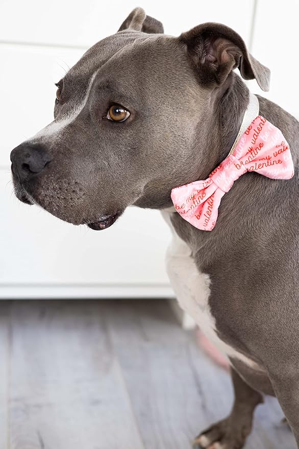 Pearhead Be My Valentine Pet Bandana, Valentine’s Day Slide-On Dog Bandana, Dog Apparel, Pet Accessory, M/L