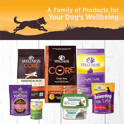 Wellness CORE 95% Natural Wet Grain Free Canned Dog Food, Chicken & Broccoli,12.5-Ounce Can (Pack of 12)