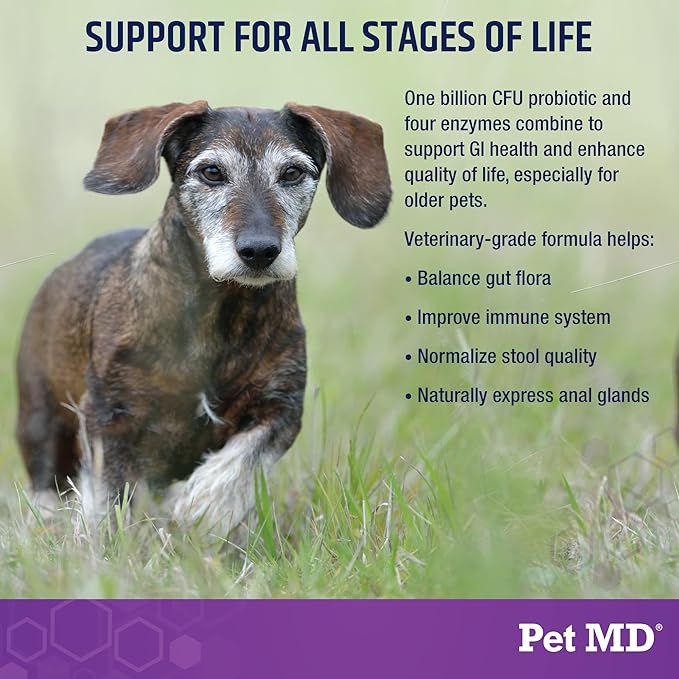 Pet MD Probiotics & Enzymes for Dogs - Gut Health Chews with Prebiotics - Digestive Aid for Dogs with Upset Stomach, Diarrhea, Constipation, or Gas - Functional Probiotics for Dogs - 60 ct
