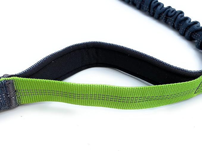 Hands Free Dog Leash with Locking Carabiner | Waterproof Running Dog Leash with Zipper Pouch, Dual Padded Handles and Durable Bungee for Active Dogs and Lifestyles
