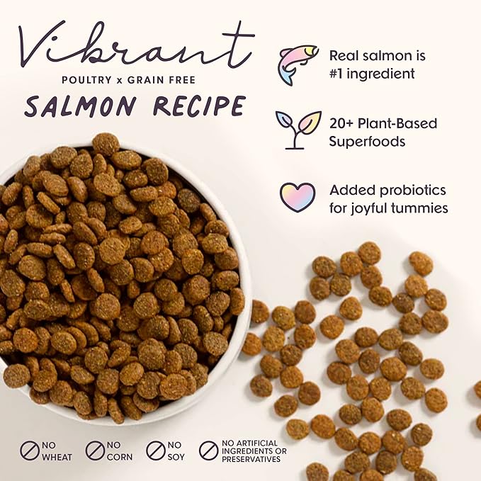 Vibrant Probiotic Dog Food Dry, Salmon, 18lb Bag, Natural Grain Free Adult Kibble for Digestive Health Made with Real Salmon, 20 Plant Based Superfoods, Corn, Poultry & Soy Free