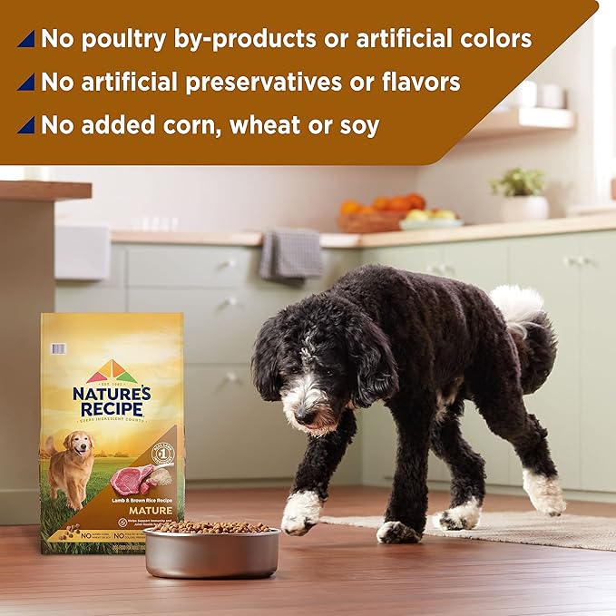 Nature′s Recipe Mature Lamb & Brown Rice Recipe Dry Dog Food, 4 lb. Bag