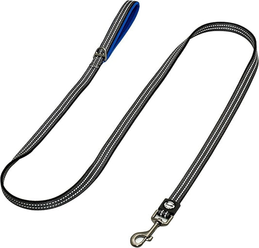 Franklin Pet Supply Nylon Dog Leash – Reflective – Comfort Fit – Neoprene Handle – 6 Foot – Dog Training – Walking – Blue