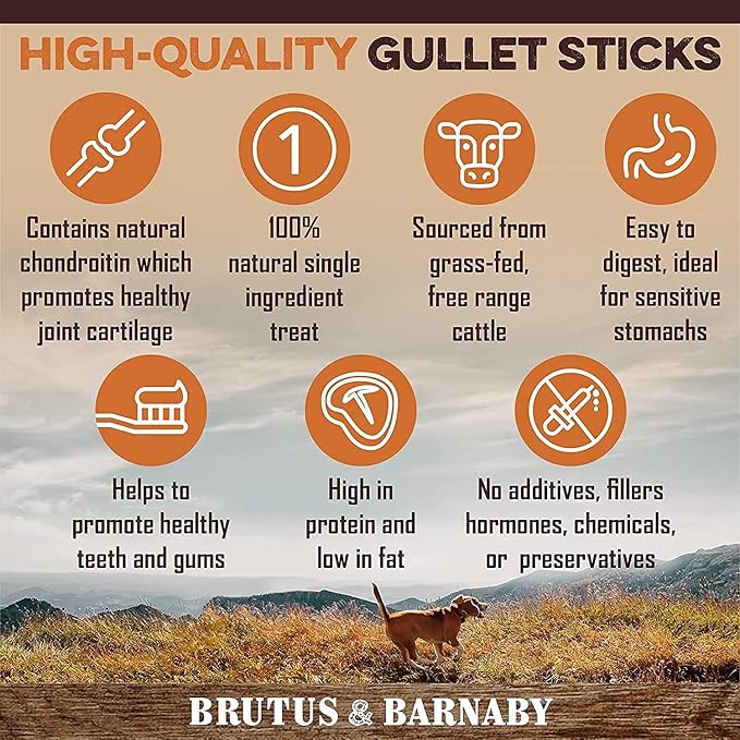 Beef Jerky For Dogs, All Natural Single Ingredient Beef Esophagus Chews, Healthy Beef Flat Gullet Strips, Naturally Occurring Glucosamine & Chondroitin Helps Joint Function, Great For Any Dog Size