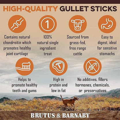 Beef Jerky For Dogs, All Natural Single Ingredient Beef Esophagus Chews, Healthy Beef Flat Gullet Strips, Naturally Occurring Glucosamine & Chondroitin Helps Joint Function, Great For Any Dog Size