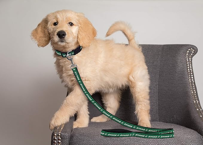 Pets First NHL Dallas Stars Leash for Dogs & Cats, Medium. - Walk Cute & Stylish! The Ultimate Hockey Fan Leash!, Medium (4 ft Long x 0.62 in Width) (STR-3031-MD)