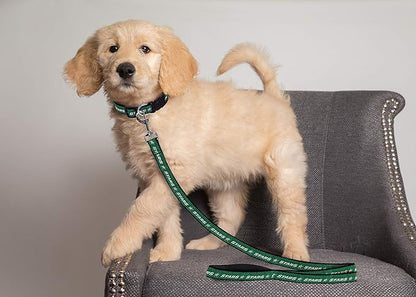 Pets First NHL Dallas Stars Leash for Dogs & Cats, Medium. - Walk Cute & Stylish! The Ultimate Hockey Fan Leash!, Medium (4 ft Long x 0.62 in Width) (STR-3031-MD)