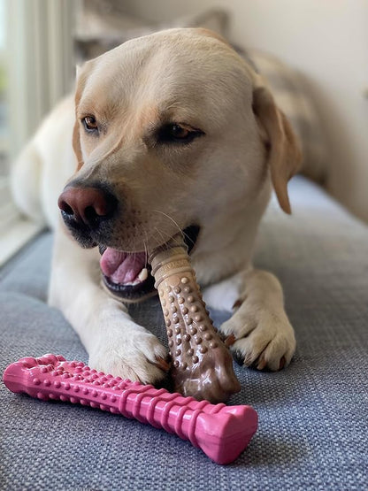 Nylabone Power Chew Breast Cancer Awareness Femur Bone Chew Toy for Dog, Indestructible Dog Toys for Aggressive Chewers, Chicken Flavor, X-Large/Souper (2 Count)