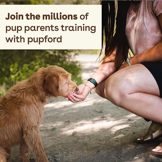 Pupford Freeze Dried Training Treats for Dogs & Puppies, 1400+ One Ingredient Bites (Sweet Potato, 4 oz, 3 Pack)
