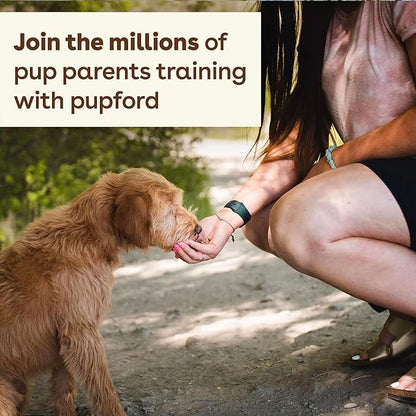 Pupford Freeze Dried Training Treats for Dogs & Puppies, 1400+ Two Ingredient Bites (Rabbit, 4 oz, 3 Pack)