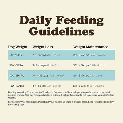 Now Fresh Grain Free Dog Food, 25 lb - Large Breed Senior Dog Food Recipe - Healthy Diet with Probiotics & Real Meat and Fish for Protein