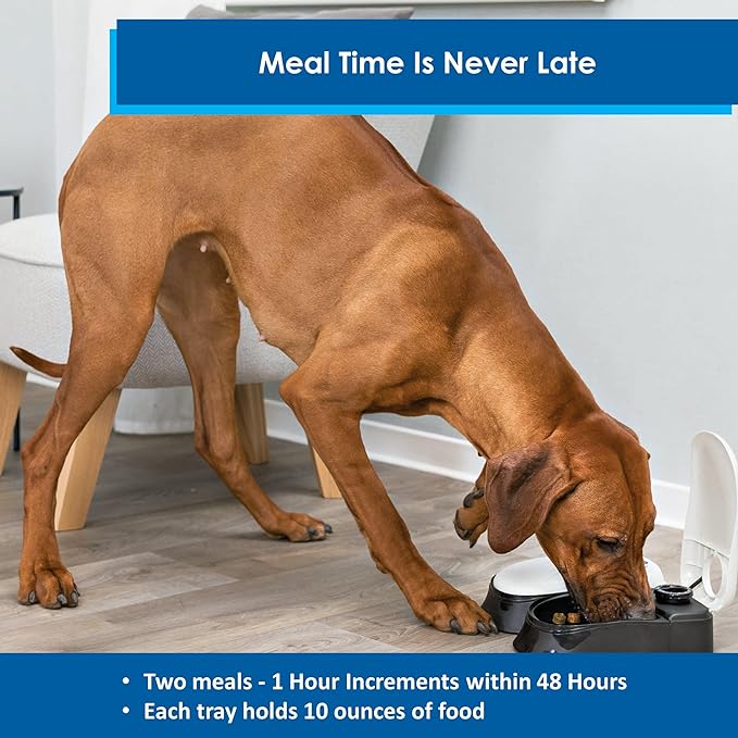 TRIXIE TX2 Automatic Food Dispenser, Dual Compartments, Dual Timer, 48 Hour Timer, Battery Operated, White
