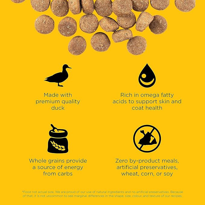 GO! SOLUTIONS Skin + Coat Care - Dry Dog Food, 22 lb - Duck Recipe with Grains for All Life Stages - Complete + Balanced Nutrition for Dogs