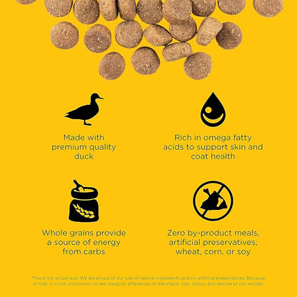 GO! SOLUTIONS Skin + Coat Care - Dry Dog Food, 22 lb - Duck Recipe with Grains for All Life Stages - Complete + Balanced Nutrition for Dogs