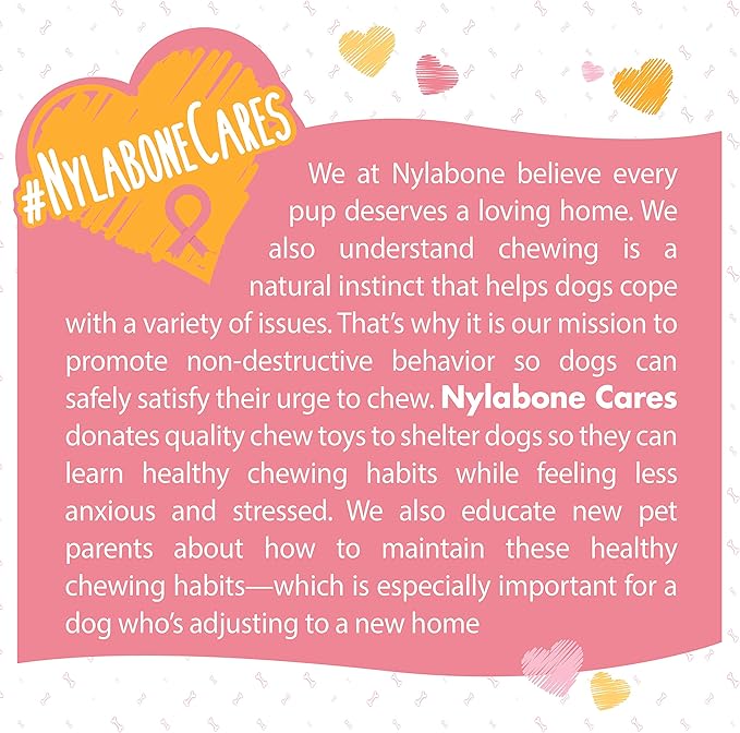 Nylabone Power Chew Breast Cancer Awareness Femur Bone Chew Toy for Dogs, Indestructible Dog Toys for Aggressive Chewers, Chicken Flavor, X-Large/Souper (1 Count)