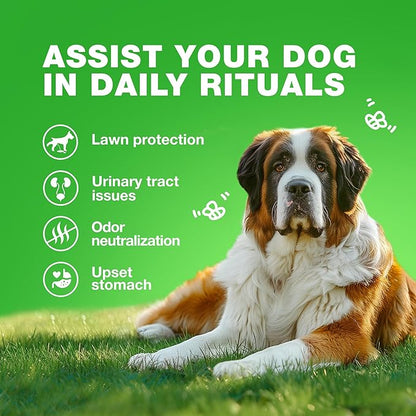 Grass Burn Spot Chews for Dogs - Dog Urine Neutralizer for Lawn - Grass Savers for Dog Urine - Dog Pee Lawn Spot Saver Caused by Dog Urine - Grass Treatment Rocks - Probiotics, Enzymes & Multivitamins
