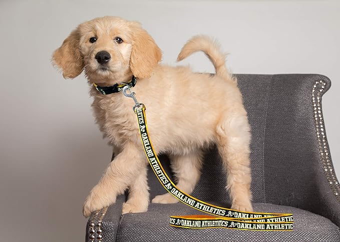 MLB PET Leash, Small, Oakland Athletics Dog Leash, Baseball Team Leash for Dogs & Cats. A Shiny & Colorful Dog & Cat Leash with Emboridered Team Name/Logo Licensed by the MLB