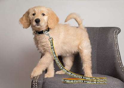 MLB PET Leash, Small, Oakland Athletics Dog Leash, Baseball Team Leash for Dogs & Cats. A Shiny & Colorful Dog & Cat Leash with Emboridered Team Name/Logo Licensed by the MLB
