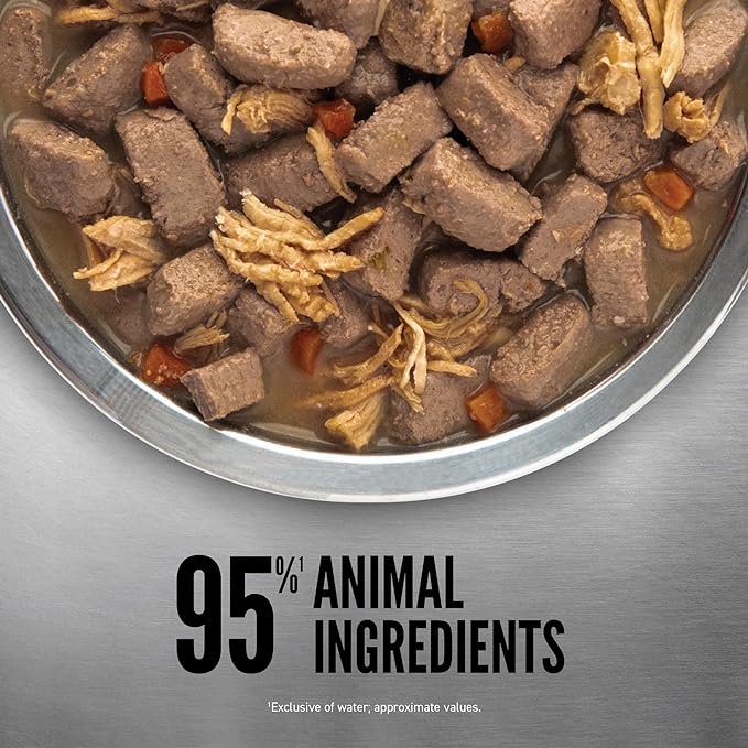 ORIJEN Chicken Recipe Stew with Shredded Chicken and Eggs Wet Dog Food, WholePrey Ingredients, 12.8oz (Case of 12)