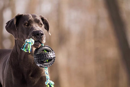 Pet Qwerks X-Tire Ball Dog Toys - Rope Interactive Chew Toy - Medium