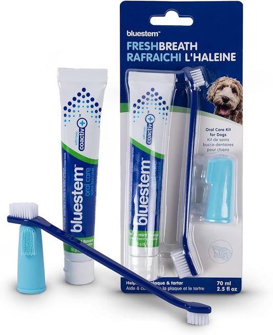 Bluestem Dog Tooth Brushing Kit - Dog Toothpaste with Coactiv+ Technology to Reduce Tartar Buildup - Easy to Use Dog Teeth Cleaning Kit - Sticky and Long-Lasting, Vanilla Mint Flavor