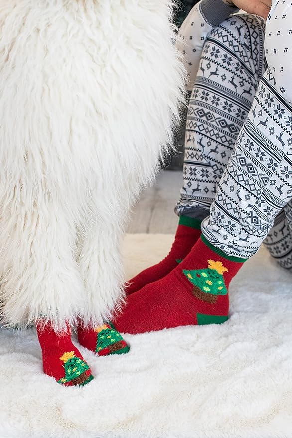 Pearhead Matching Human and Dog Apparel, Christmas Socks Set for Dog and Owner, Green and Red Christmas Tree Dog Socks and Adult Socks