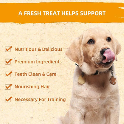 Jungle Calling Dog Treats, Chicken Jerky Dog Treats, High Protein Grain Free Chicken Dog Training Treats, Slow Roasted Chicken Strips for Dogs, Chewy Chicken Fillets, 10.6 oz