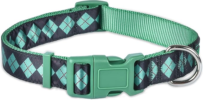 Harry Potter Slytherin Dog Collar in Size Extra Small | XS Dog Collar, Harry Potter Dog Collar | Harry Potter Dog Apparel & Accessories for Hogwarts Houses, Slytherin