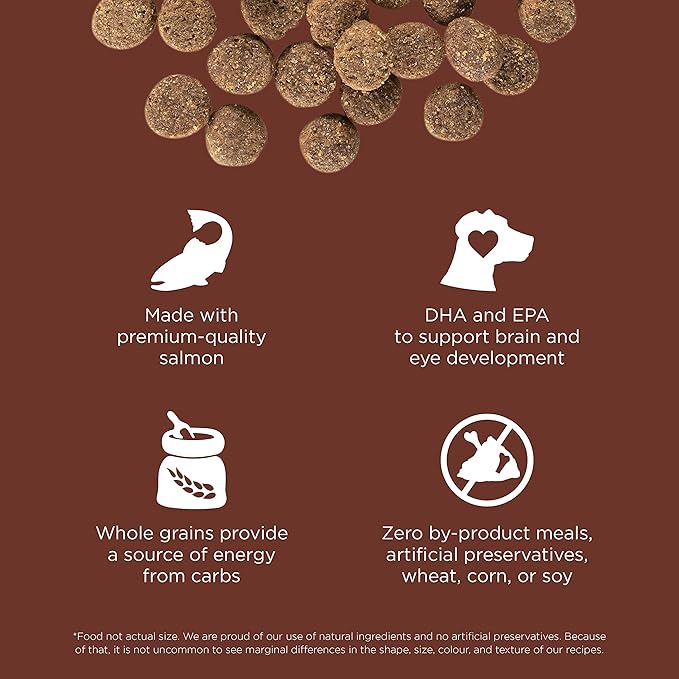 GO! SOLUTIONS Skin + Coat Care Dry Dog Food for Large Breed Puppy - Salmon Recipe with Grains - Complete & Balanced Nutrition, 12 lbs