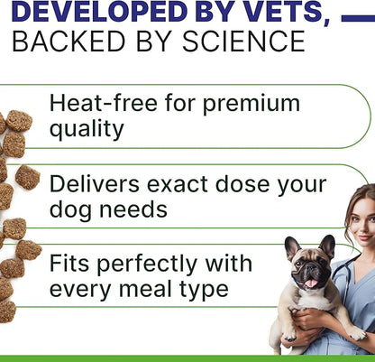 ADVANCED Hemp Hip & Joint Supplement for Dogs - Glucosamine for Dogs - Dog Joint Pain Relief Treats - Chondroitin Turmeric MSM Hemp Oil - Hemp Treats for Joint Health - Peanut Butter