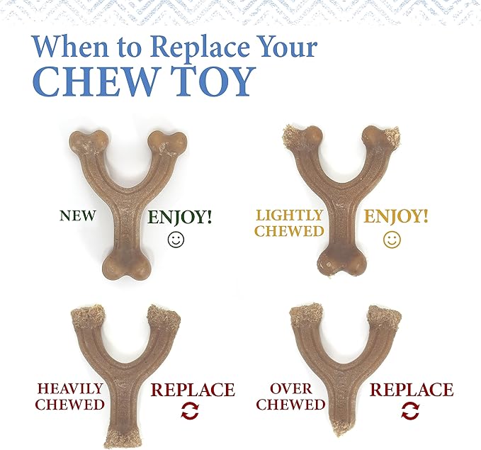 Nylabone Puppy Gourmet Style Strong Chew Toy Chicken Medium/Wolf (1 Count)