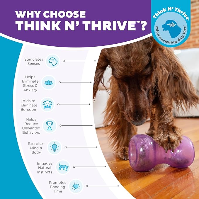 Outward Hound Double Snoop Interactive Treat Stuffer Durable Dog Toy, Dog Treat Toy, Purple