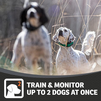 SportDOG Brand FieldSentinel 825 Remote Trainer with BodyGuard Health Alerts – World’s First Dog E-Collar with Health Monitoring – Train with Shock, Vibrate, and Tone – ½ Mile Range