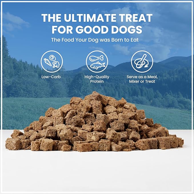 Muenster Freeze Dried Dog Food Topper Bites (16oz) - Farmhaus Elk Freeze Dried Raw Dog Food w/Organic Minerals - Elk & Organ Meats Meal Toppers for Dogs - Freeze Dried Dog Treats for Training