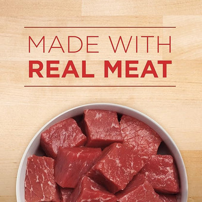Purina ONE Tender Cuts in Gravy Beef and Barley Entree in Wet Dog Food Gravy - (Pack of 12) 13 oz. Cans