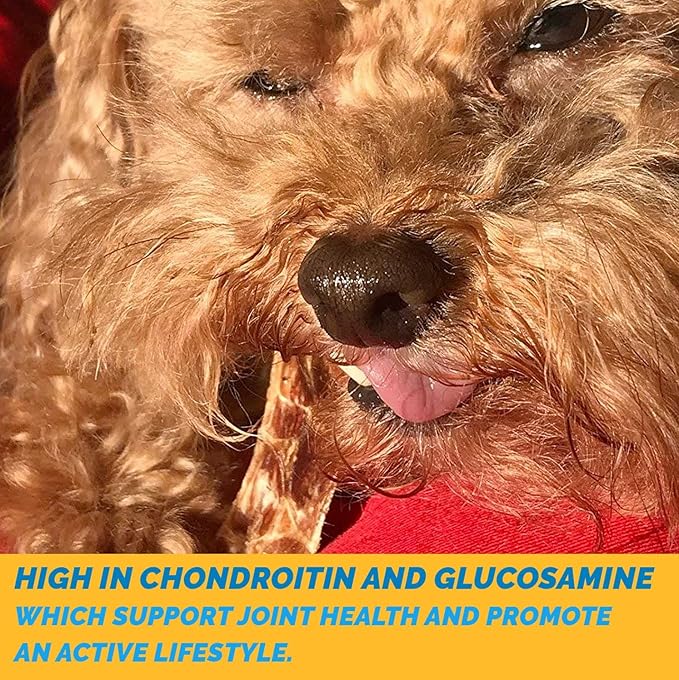 Esophagus Dog Treats (6 Inches - 25 Count) 100% Natural gullet sticks for Dogs flat - Beef Jerky dog treats strips Free of Preservatives, Hormones & Antibiotics