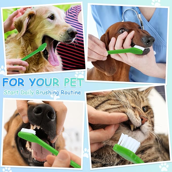 70 Pieces Dog Tooth Brush Pet Toothbrush Soft Grooming Dogs Toothbrush Dog Double Sided Toothbrush Puppy Long Handle Tooth Brush for Large and Small Teeth Cleaning Dental Oral Care (Green)