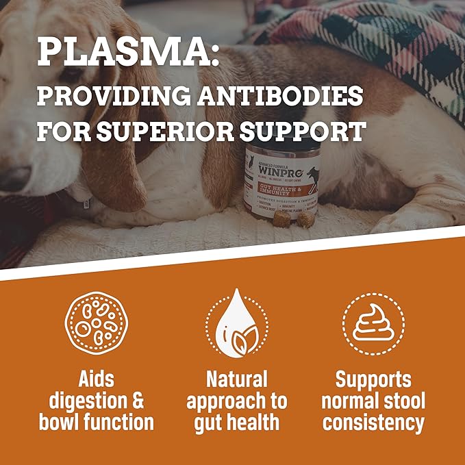WINPRO | Dog Gut Health Supplement, Plasma-Powered Chews for Digestive Health, Fast Acting Immune Support in Dogs of All Breeds and Sizes, 60 Count, Made in USA