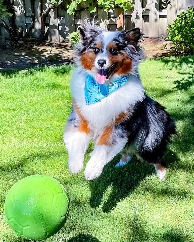 Jolly Pets Large Jolly Soccer Ball Floating-Bouncing Dog Toy; 8" Green Apple