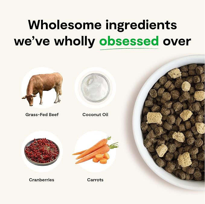 Open Farm RawMix Grain-Free Front Range Recipe for Dogs, includes Kibble, Bone Broth, and Freeze Dried Raw, Inspired by The Wild, Humanely Raised Protein and Non-GMO Fruits and Veggies, 3.5 lb