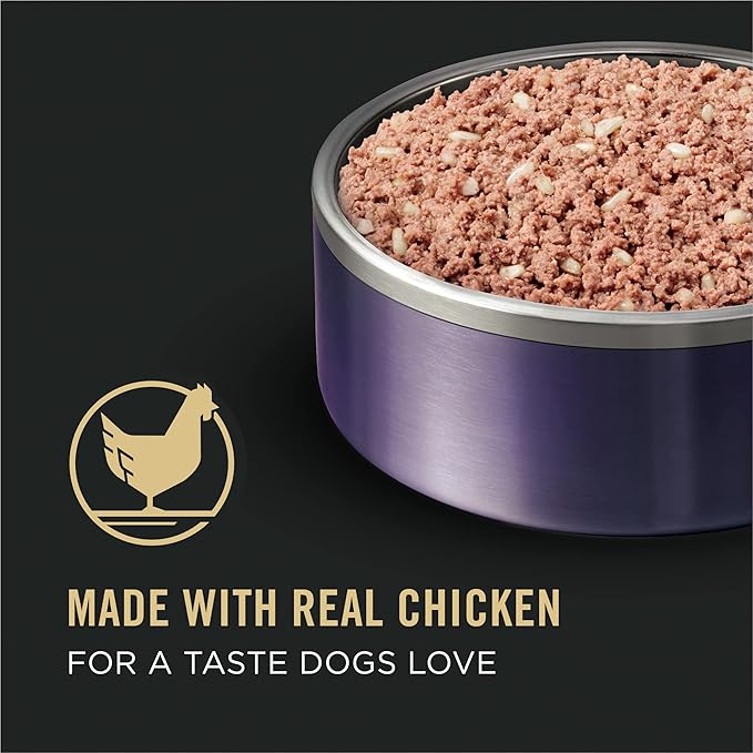 Purina Pro Plan Sport High Protein Puppy Food Chicken and Rice Wet Formula - (Pack of 12) 13 oz. Cans