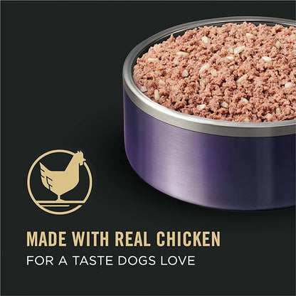Purina Pro Plan Sport High Protein Puppy Food Chicken and Rice Wet Formula - (Pack of 12) 13 oz. Cans